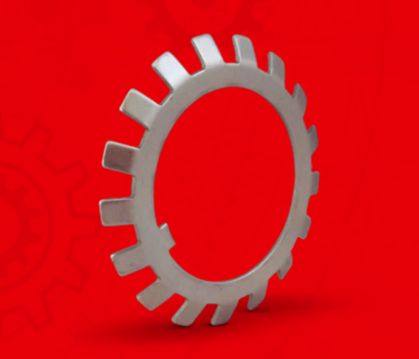 Lock Washers